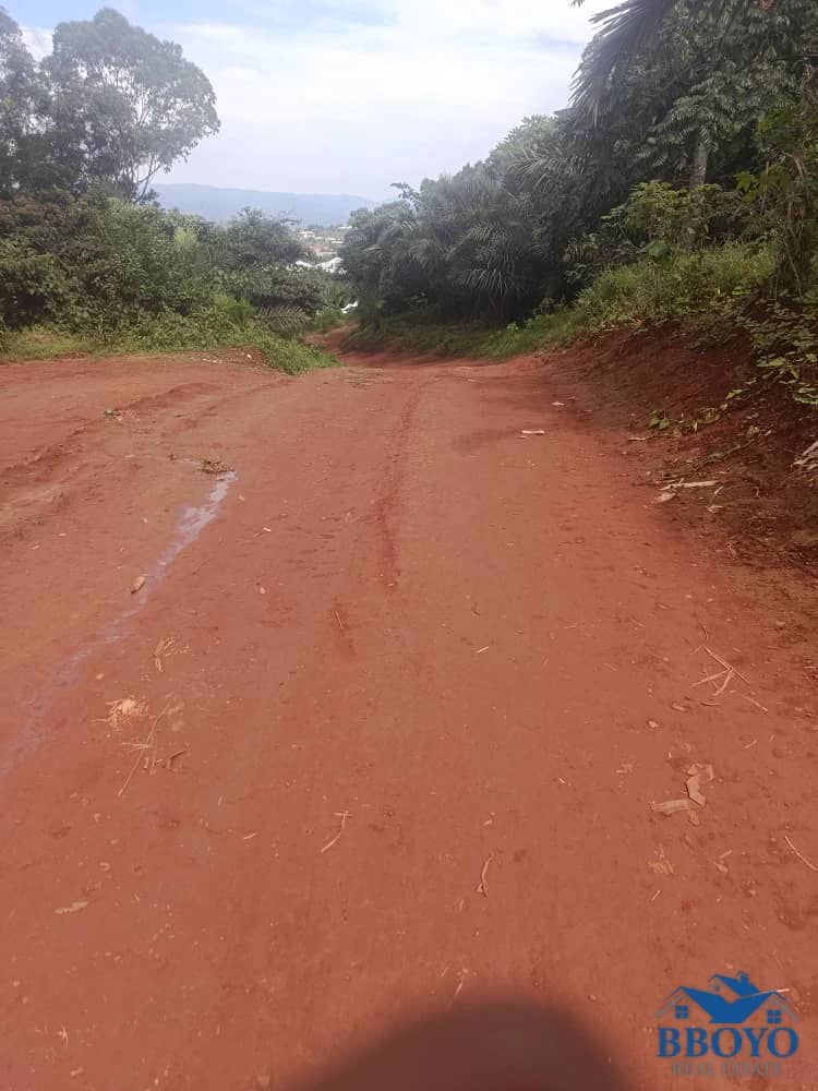 Pa Chengwa's Land — photo 6