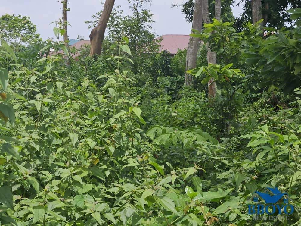 Land opportunity available at affordable price — photo 2