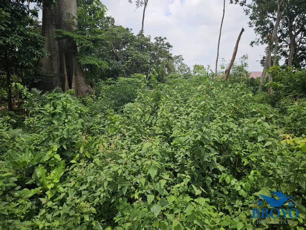 Land opportunity available at affordable price — photo 3