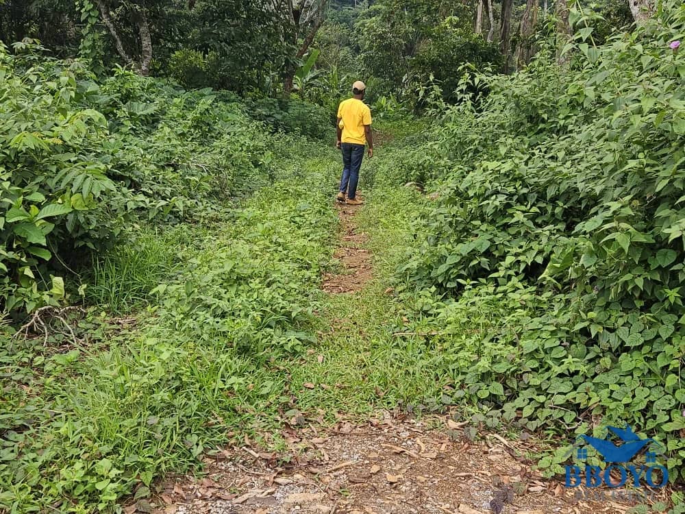 Land opportunity available at affordable price — photo 5