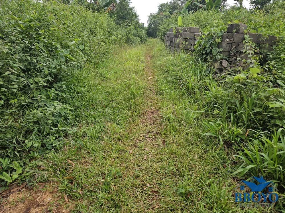 Land opportunity available at affordable price — photo 6