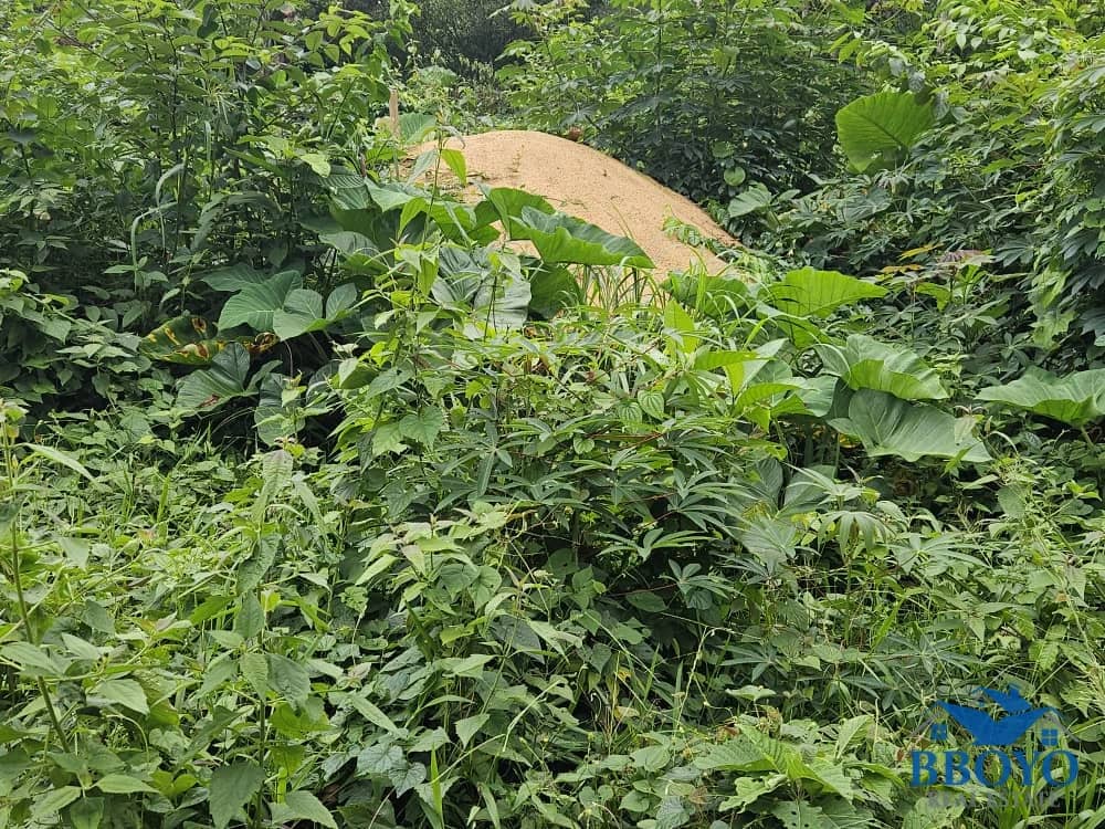 Land opportunity available at affordable price — photo 7