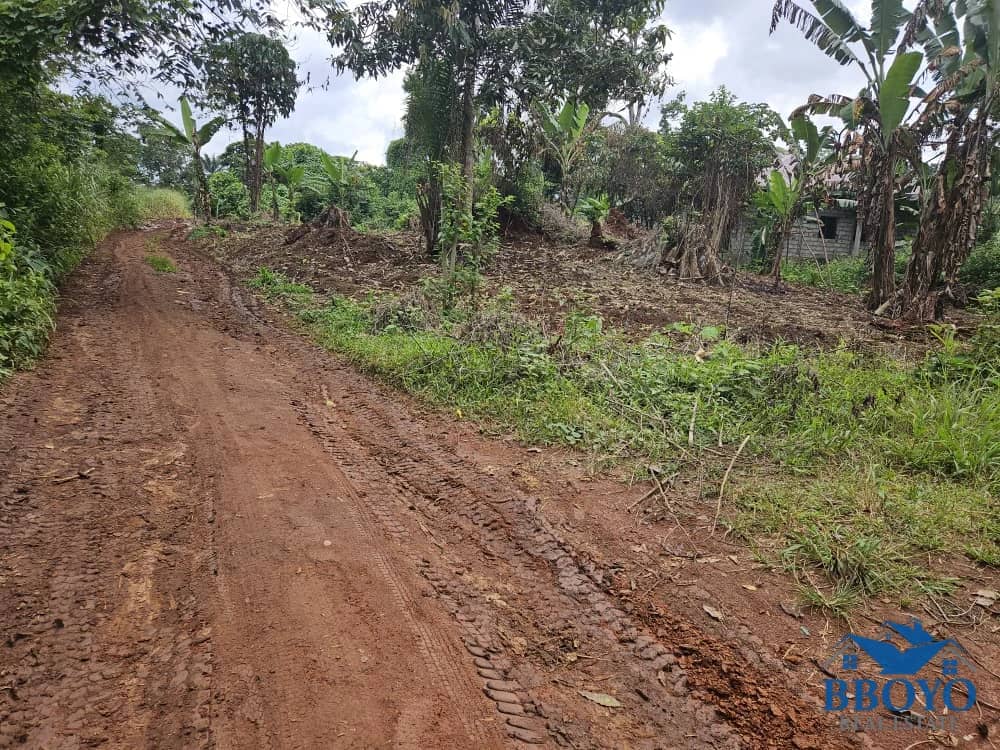 Land opportunity available at affordable price