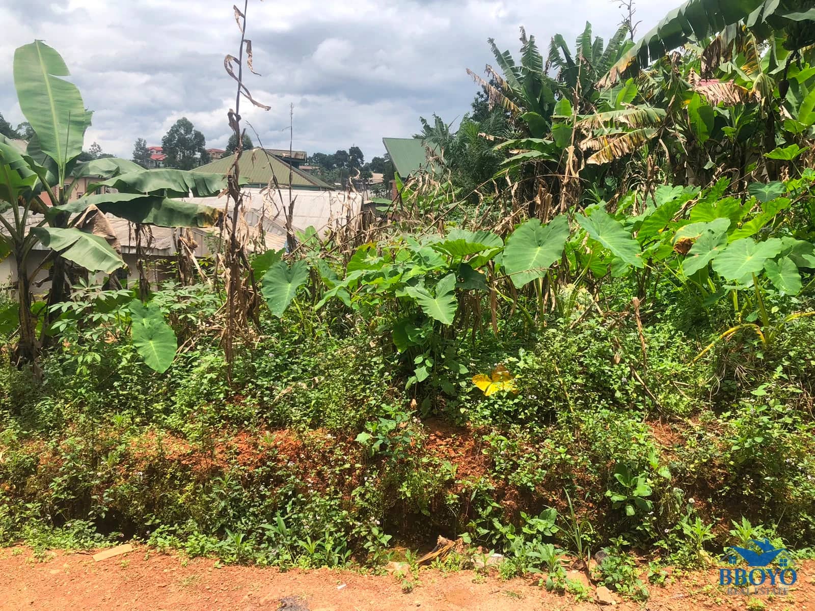 Real Estate property, Property embodies Land the House on it