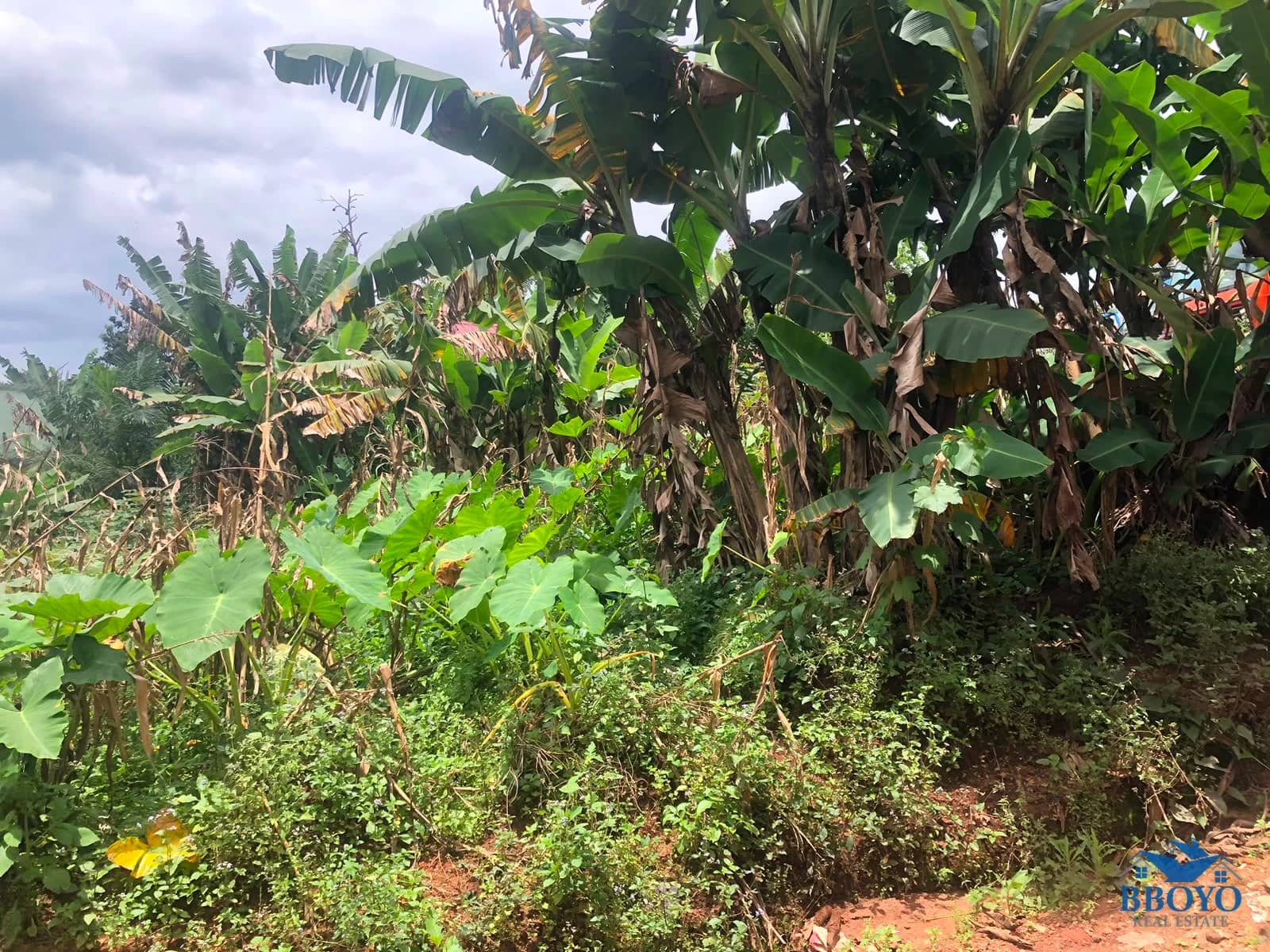Real Estate property, Property embodies Land the House on it — photo 4