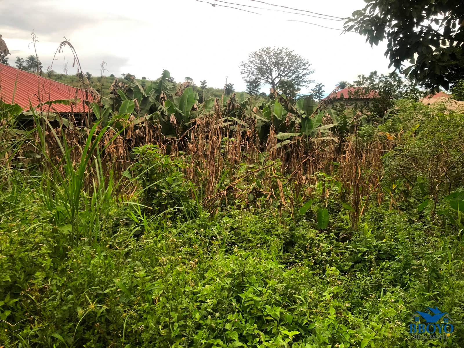Real Estate property, Property embodies Land the House on it — photo 7