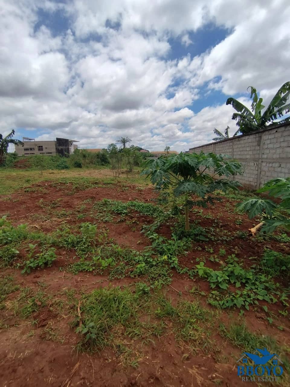 Terrain titré à vendre à tsinga village — photo 2