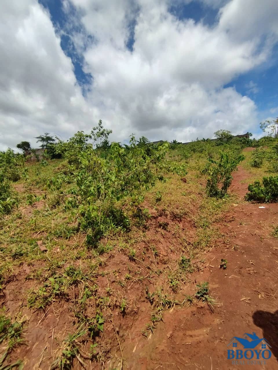 Terrain titré à vendre à tsinga village — photo 3