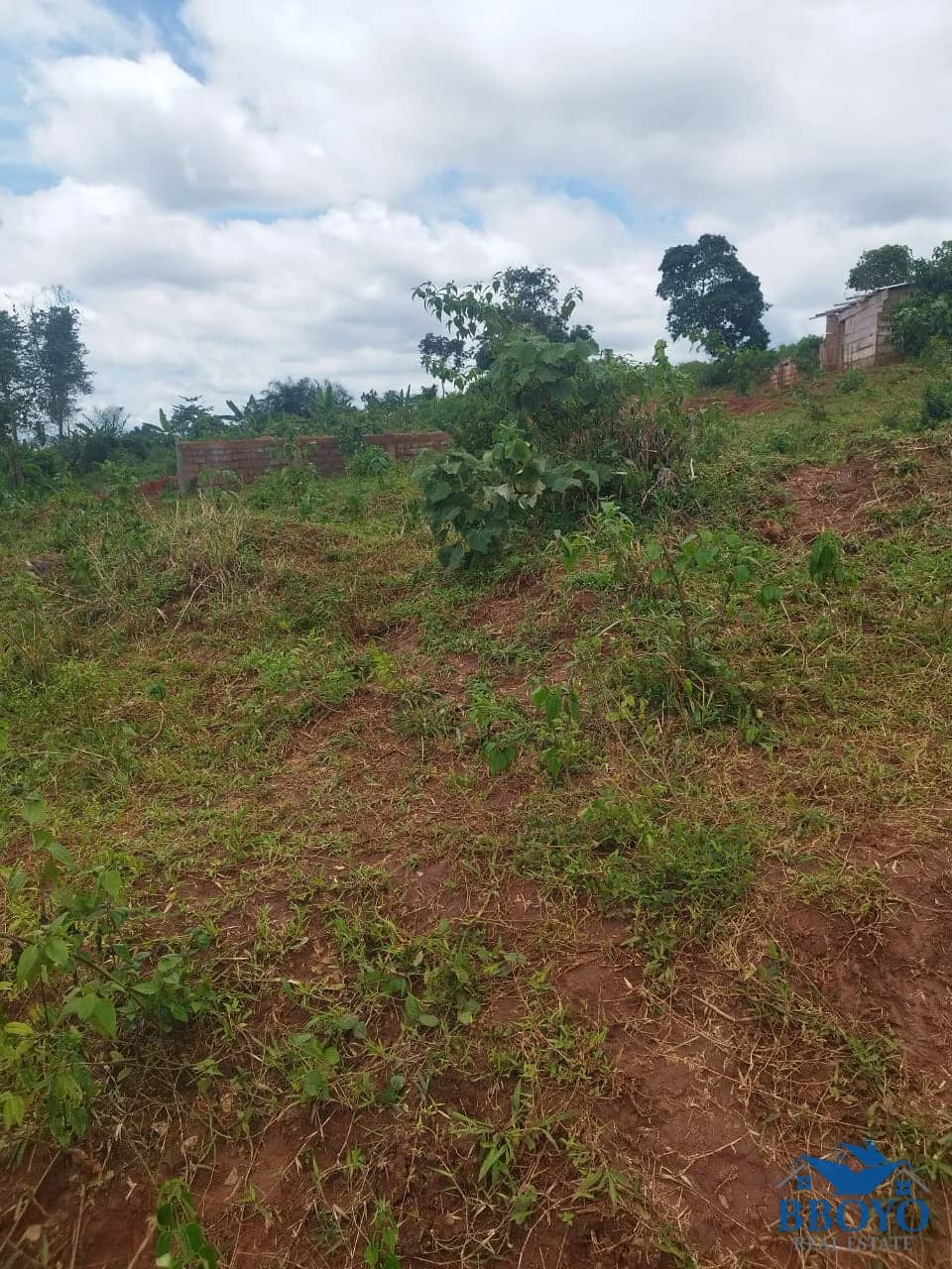 Terrain titré à vendre à tsinga village — photo 4